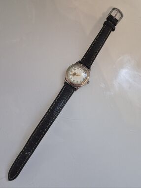 Fossil Disney Watch
